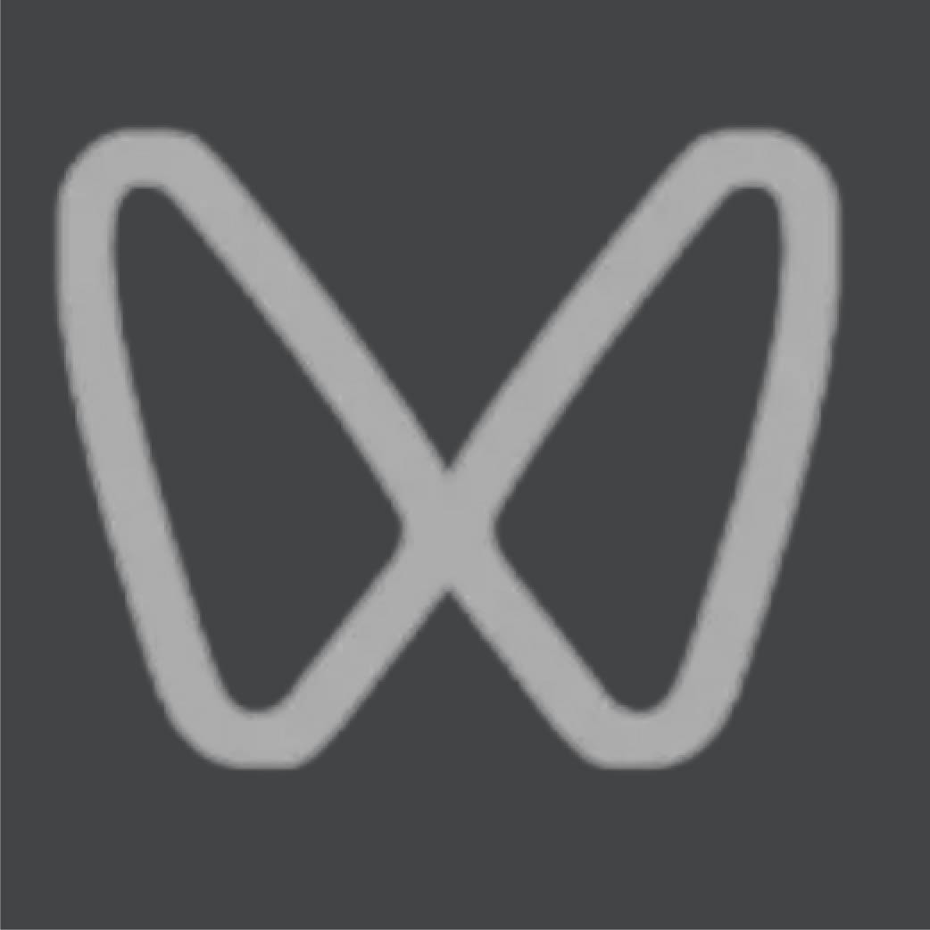 foot2-icon